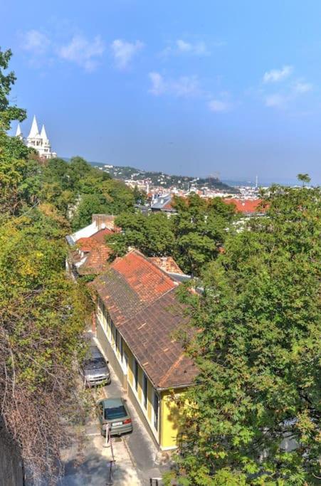 Castle Hill Garden *